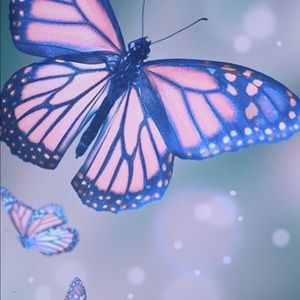 Meet your Posher, Heidi